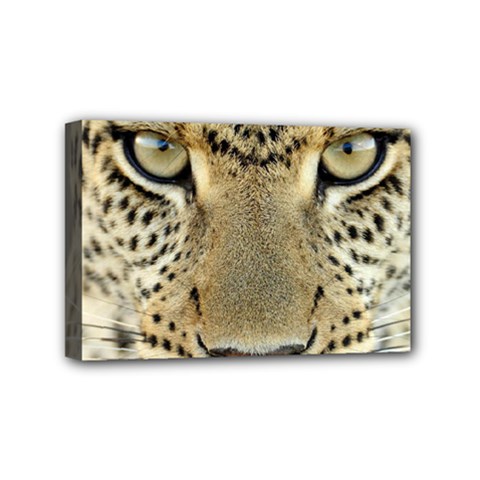 Leopard Face Mini Canvas 6  X 4  by BangZart