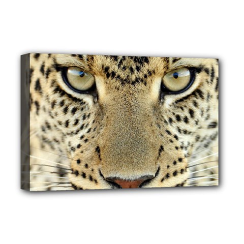 Leopard Face Deluxe Canvas 18  X 12  