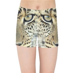 Leopard Face Kids Sports Shorts