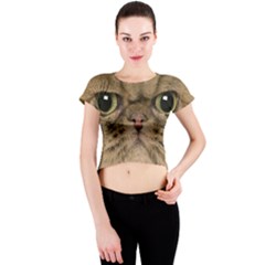 Cute Persian Catface In Closeup Crew Neck Crop Top