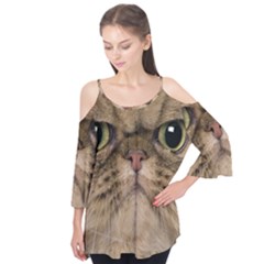 Cute Persian Catface In Closeup Flutter Tees