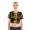 Beautiful World Entry Door Fantasy Cotton Crop Top View1