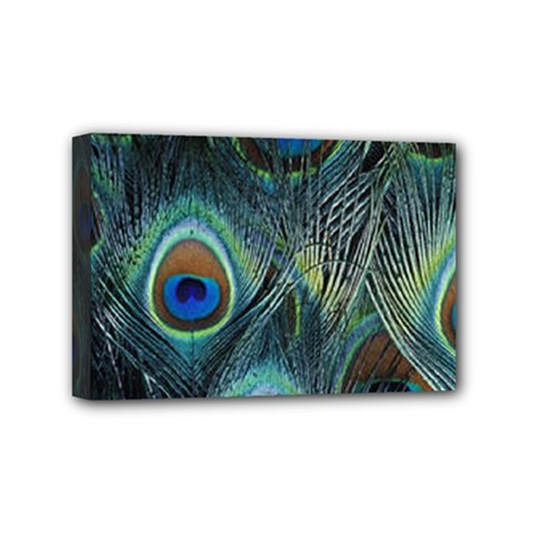 Feathers Art Peacock Sheets Patterns Mini Canvas 6  X 4  by BangZart