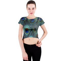 Feathers Art Peacock Sheets Patterns Crew Neck Crop Top by BangZart