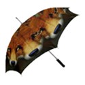 Fox Straight Umbrellas View2