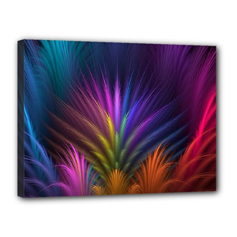 Colored Rays Symmetry Feather Art Canvas 16  X 12 