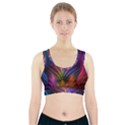 Colored Rays Symmetry Feather Art Sports Bra With Pocket View1