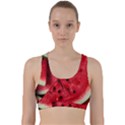 Fresh Watermelon Slices Texture Back Weave Sports Bra View1