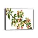 Apple Branch Deciduous Fruit Mini Canvas 7  x 5  View1