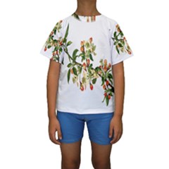 Apple Branch Deciduous Fruit Kids  Short Sleeve Swimwear