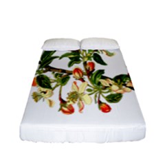 Apple Branch Deciduous Fruit Fitted Sheet (full/ Double Size) by Nexatart