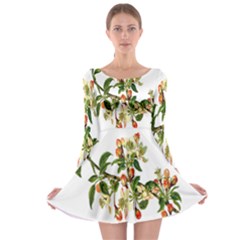 Apple Branch Deciduous Fruit Long Sleeve Skater Dress