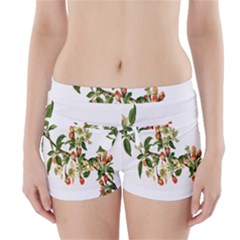 Apple Branch Deciduous Fruit Boyleg Bikini Wrap Bottoms