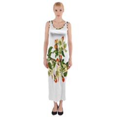 Apple Branch Deciduous Fruit Fitted Maxi Dress by Nexatart