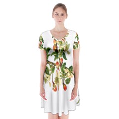 Apple Branch Deciduous Fruit Short Sleeve V-neck Flare Dress by Nexatart