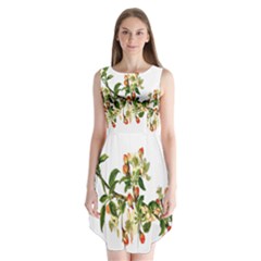 Apple Branch Deciduous Fruit Sleeveless Chiffon Dress   by Nexatart