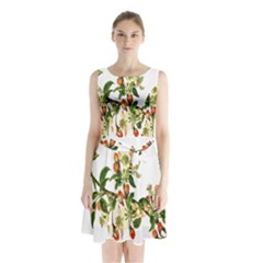 Apple Branch Deciduous Fruit Sleeveless Waist Tie Chiffon Dress by Nexatart