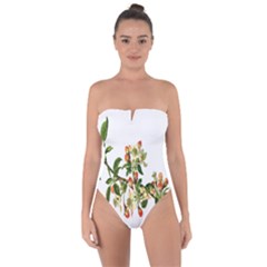 Apple Branch Deciduous Fruit Tie Back One Piece Swimsuit