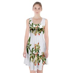 Apple Branch Deciduous Fruit Racerback Midi Dress by Nexatart