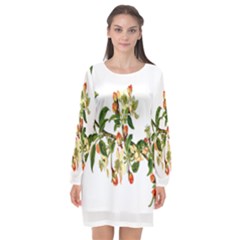 Apple Branch Deciduous Fruit Long Sleeve Chiffon Shift Dress  by Nexatart