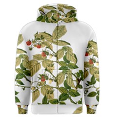 Berries Berry Food Fruit Herbal Men s Zipper Hoodie by Nexatart