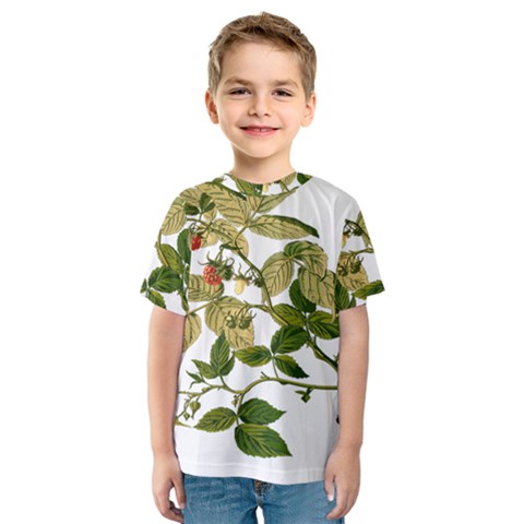 Berries Berry Food Fruit Herbal Kids  Sport Mesh Tee by Nexatart