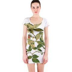 Berries Berry Food Fruit Herbal Short Sleeve Bodycon Dress by Nexatart