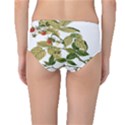 Berries Berry Food Fruit Herbal Mid-Waist Bikini Bottoms View2