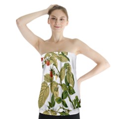 Berries Berry Food Fruit Herbal Strapless Top by Nexatart