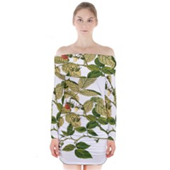 Berries Berry Food Fruit Herbal Long Sleeve Off Shoulder Dress by Nexatart