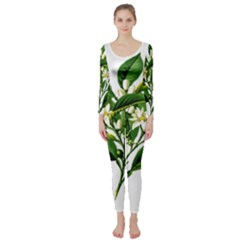 Bitter Branch Citrus Edible Floral Long Sleeve Catsuit by Nexatart