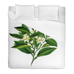 Bitter Branch Citrus Edible Floral Duvet Cover (full/ Double Size) by Nexatart