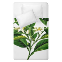 Bitter Branch Citrus Edible Floral Duvet Cover Double Side (single Size) by Nexatart