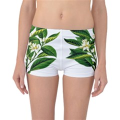 Bitter Branch Citrus Edible Floral Reversible Boyleg Bikini Bottoms by Nexatart