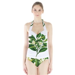 Bitter Branch Citrus Edible Floral Halter Swimsuit by Nexatart