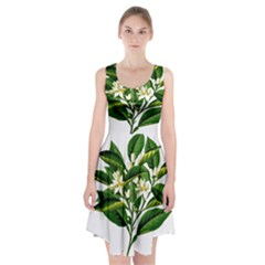 Bitter Branch Citrus Edible Floral Racerback Midi Dress by Nexatart