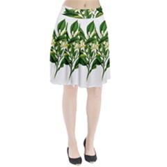 Bitter Branch Citrus Edible Floral Pleated Skirt by Nexatart