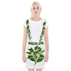 Bitter Branch Citrus Edible Floral Braces Suspender Skirt by Nexatart