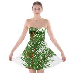 Branch Floral Green Nature Pine Strapless Bra Top Dress by Nexatart