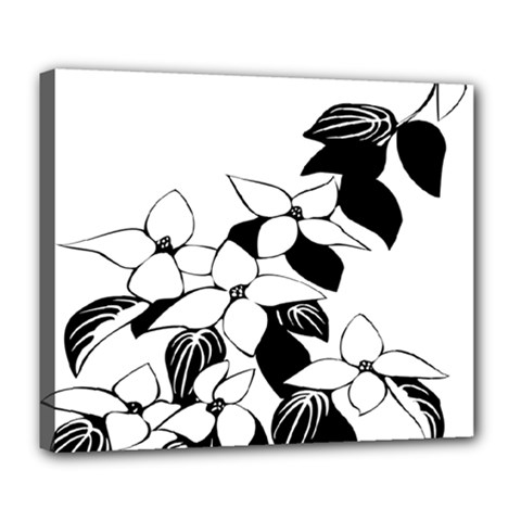 Ecological Floral Flowers Leaf Deluxe Canvas 24  X 20   by Nexatart