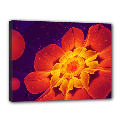 Royal Blue, Red, And Yellow Fractal Gerbera Daisy Canvas 16  X 12  by jayaprime