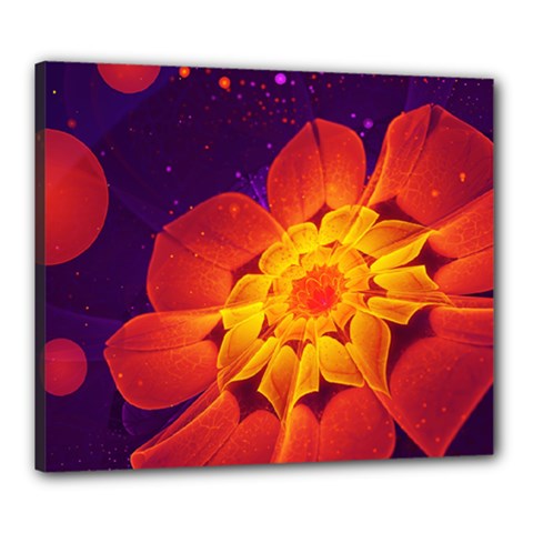 Royal Blue, Red, And Yellow Fractal Gerbera Daisy Canvas 24  X 20  by jayaprime