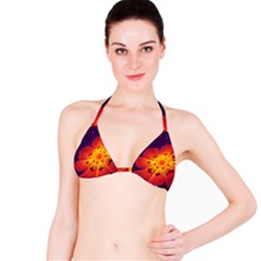 Royal Blue, Red, And Yellow Fractal Gerbera Daisy Bikini Top by jayaprime