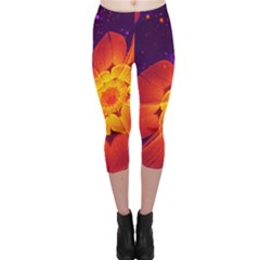 Royal Blue, Red, And Yellow Fractal Gerbera Daisy Capri Leggings  by jayaprime