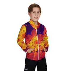 Royal Blue, Red, And Yellow Fractal Gerbera Daisy Wind Breaker (kids) by jayaprime