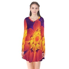 Royal Blue, Red, And Yellow Fractal Gerbera Daisy Flare Dress by jayaprime