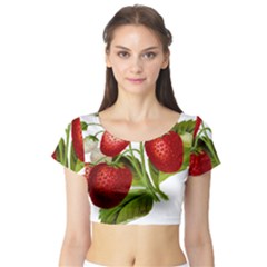 Food Fruit Leaf Leafy Leaves Short Sleeve Crop Top (tight Fit) by Nexatart