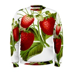 Food Fruit Leaf Leafy Leaves Men s Sweatshirt by Nexatart