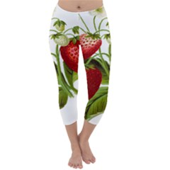 Food Fruit Leaf Leafy Leaves Capri Winter Leggings  by Nexatart