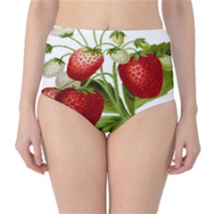 Food Fruit Leaf Leafy Leaves High-waist Bikini Bottoms by Nexatart